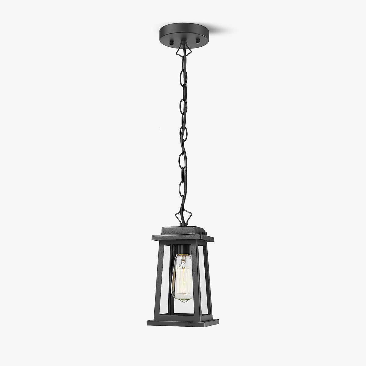 Outdoor, garden pendant lighting