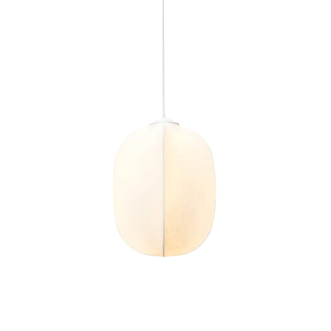Azevedo Pendant Lighting