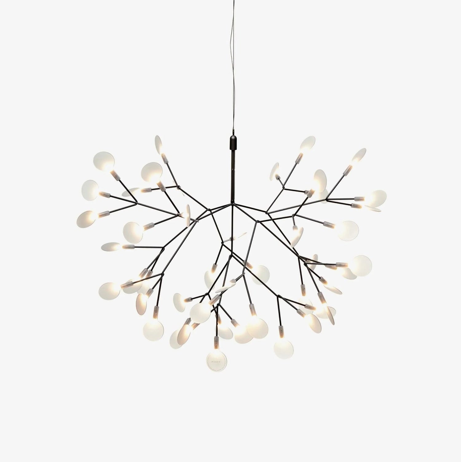 Heracleum III Suspended Light