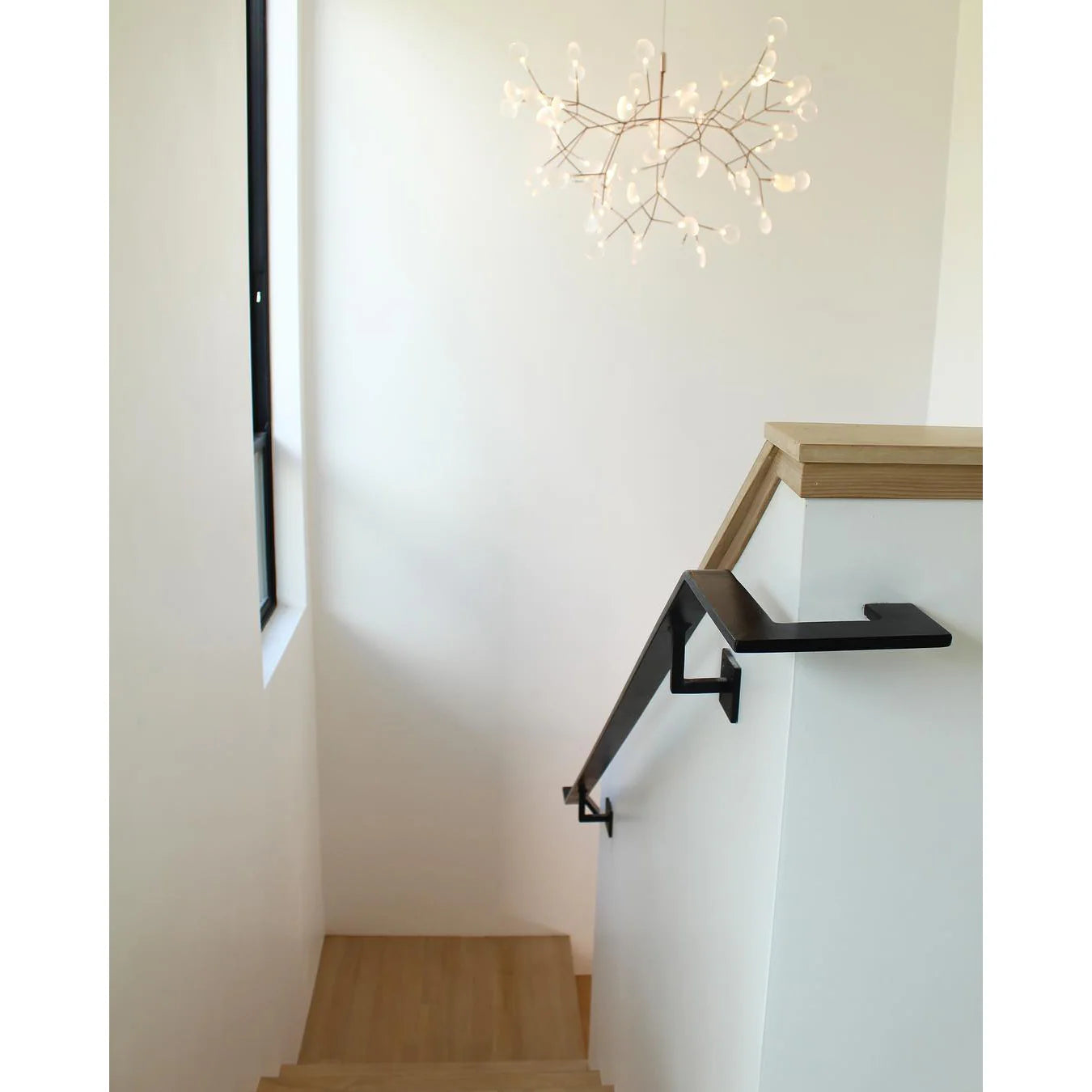 Heracleum III Suspended Light