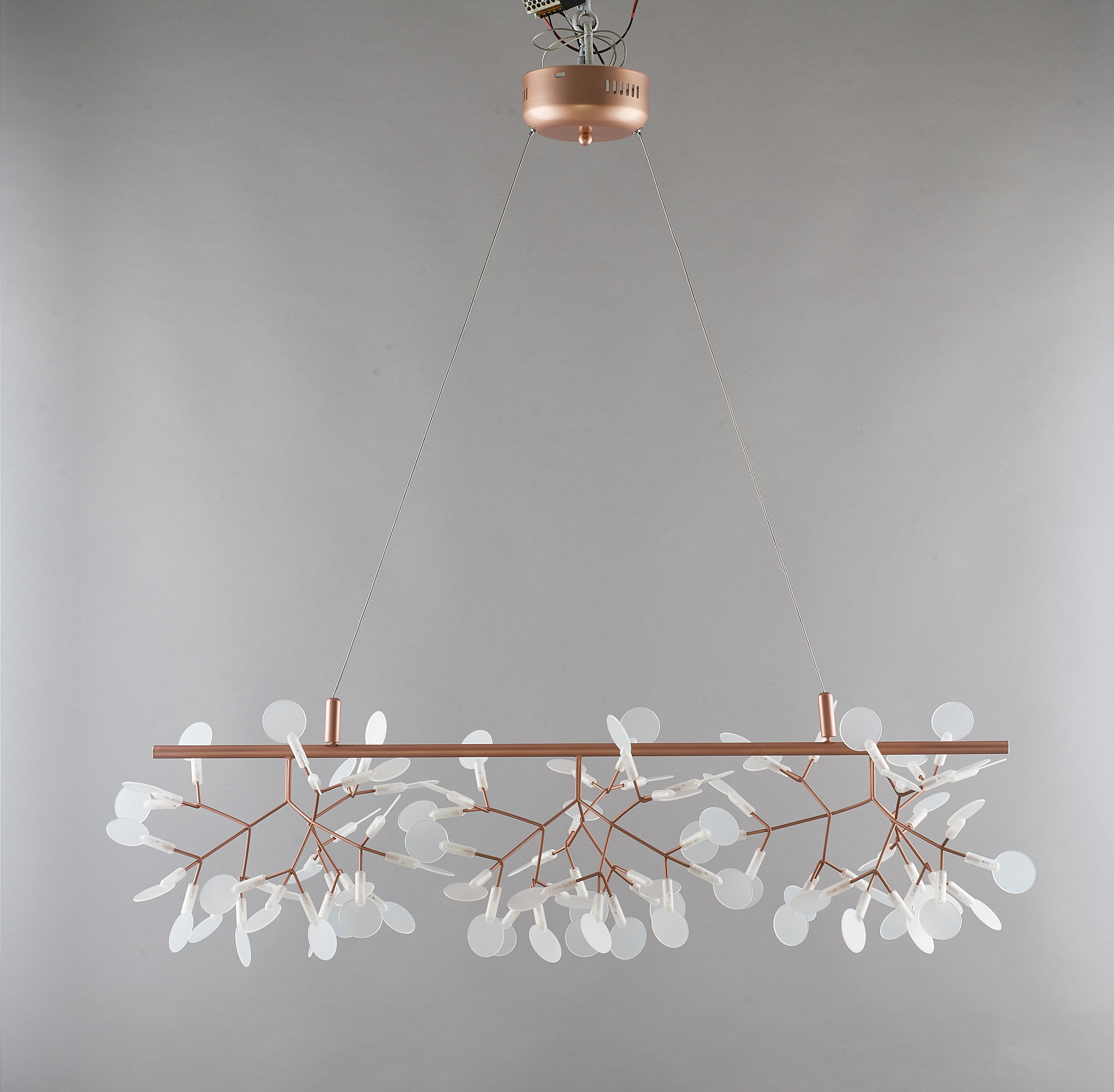 Heracleum III Suspended Light