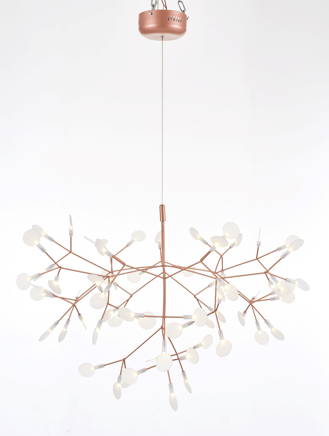 Heracleum III Suspended Light
