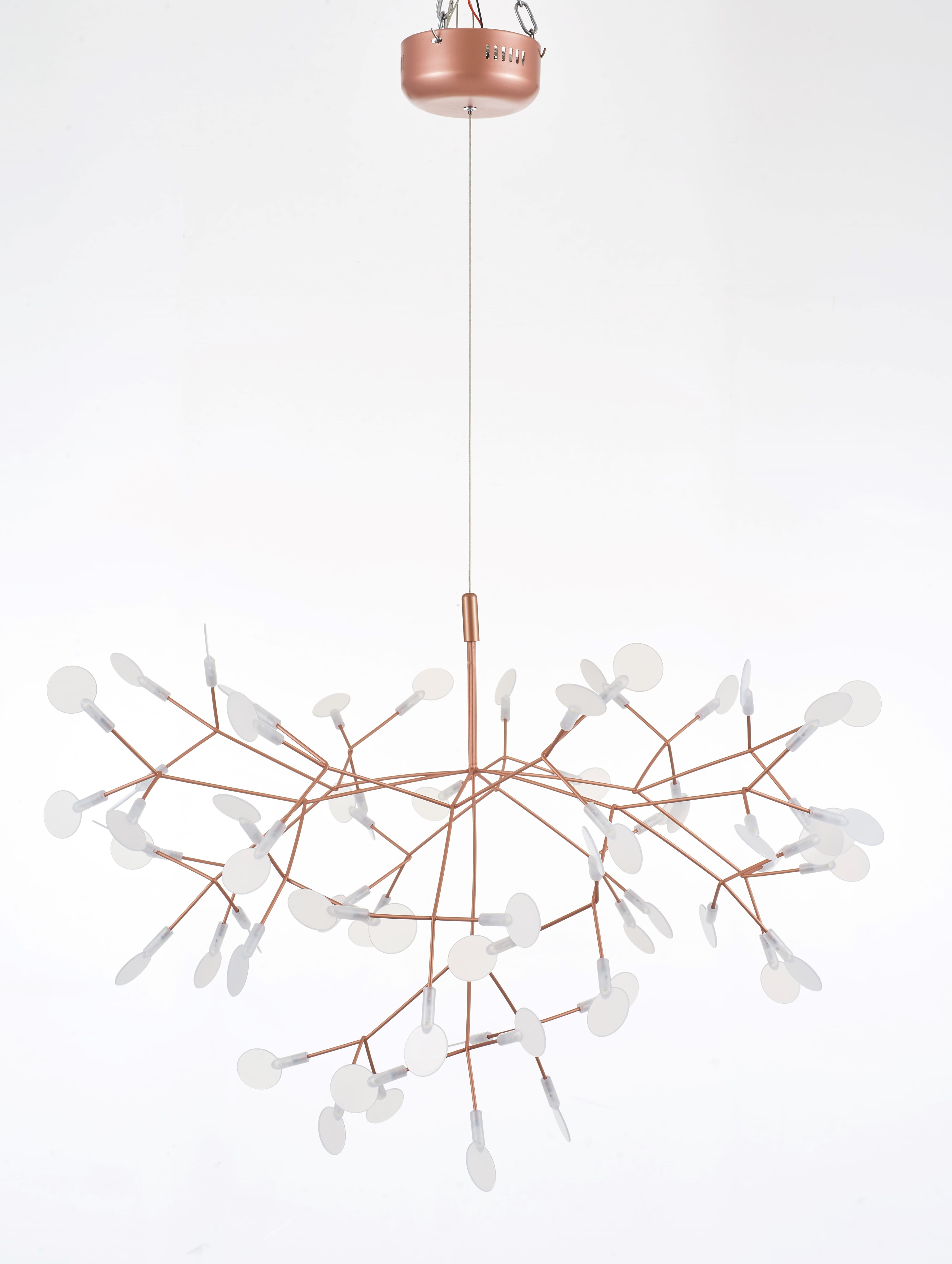 Heracleum III Suspended Light