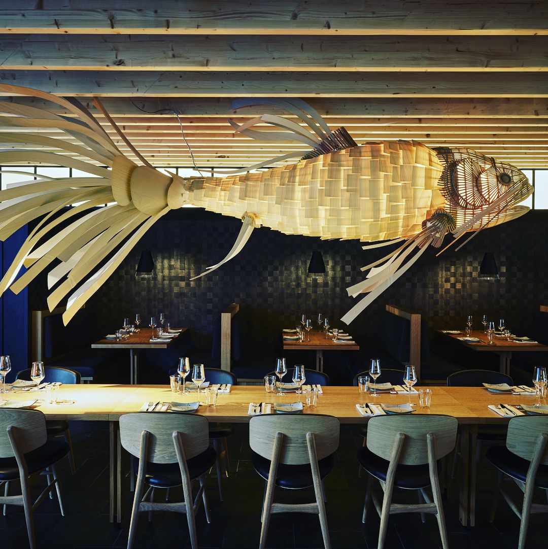 Koi Suspension Lamp