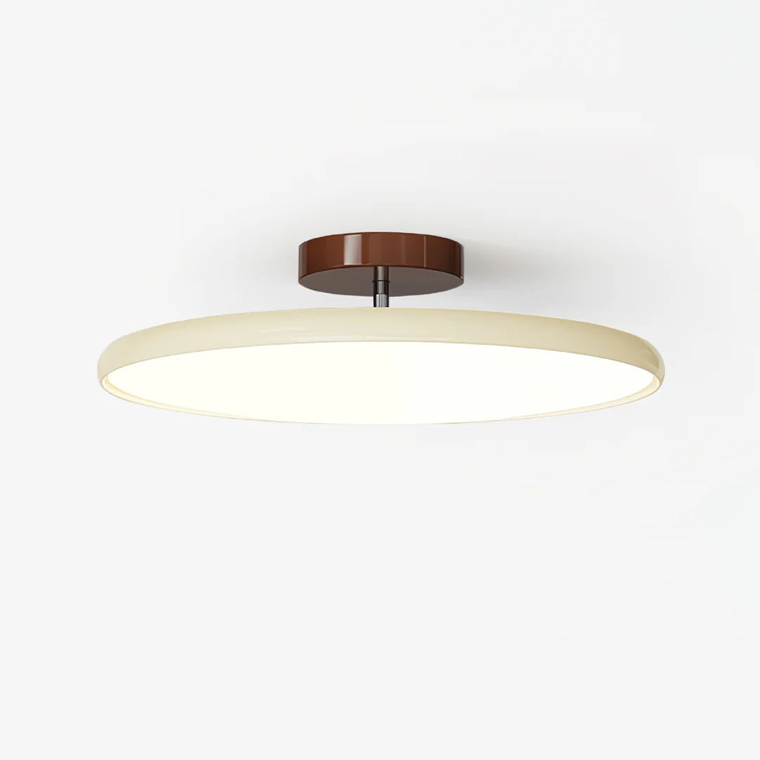 Modern Rotatable Ceiling Lamp