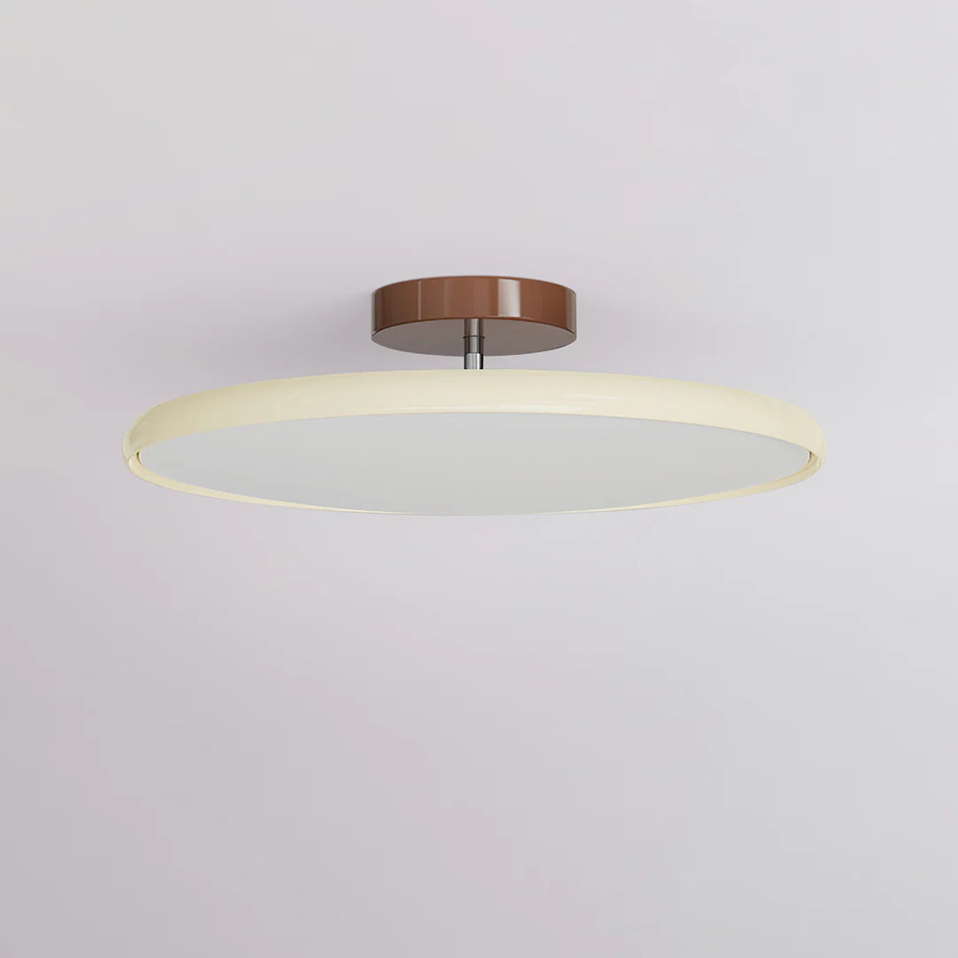Modern Rotatable Ceiling Lamp