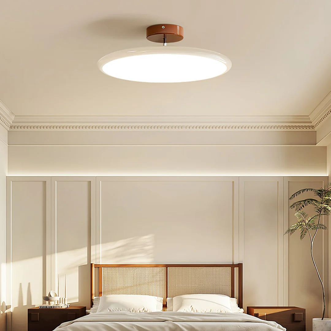 Modern Rotatable Ceiling Lamp
