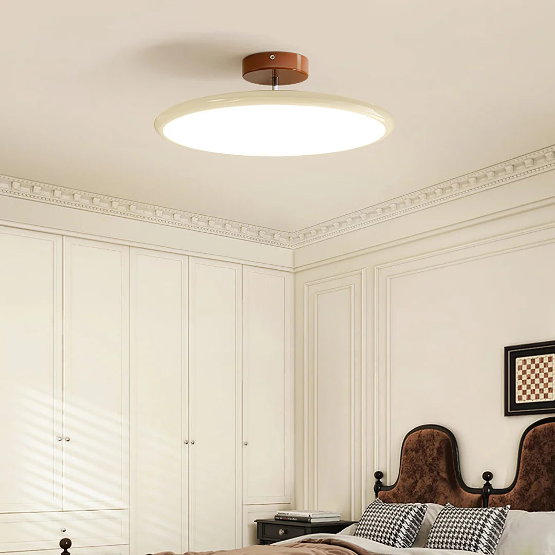 Modern Rotatable Ceiling Lamp