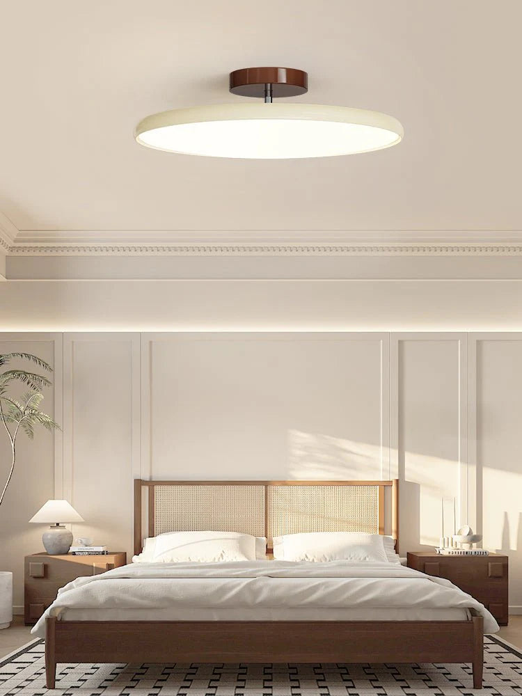 Modern Rotatable Ceiling Lamp