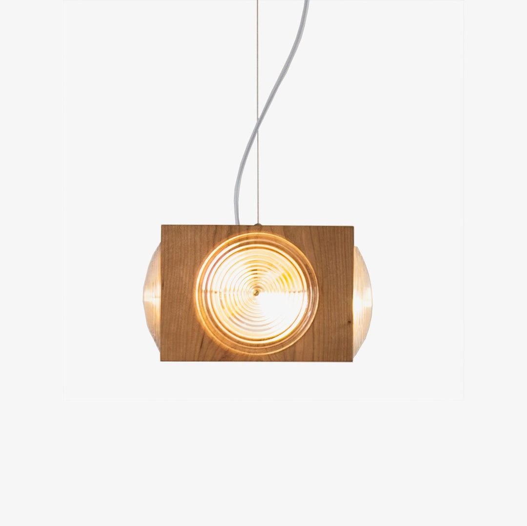 Dionna Camera Pendant Lighting