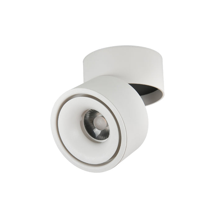 Boyce Rotatable LED Downlight