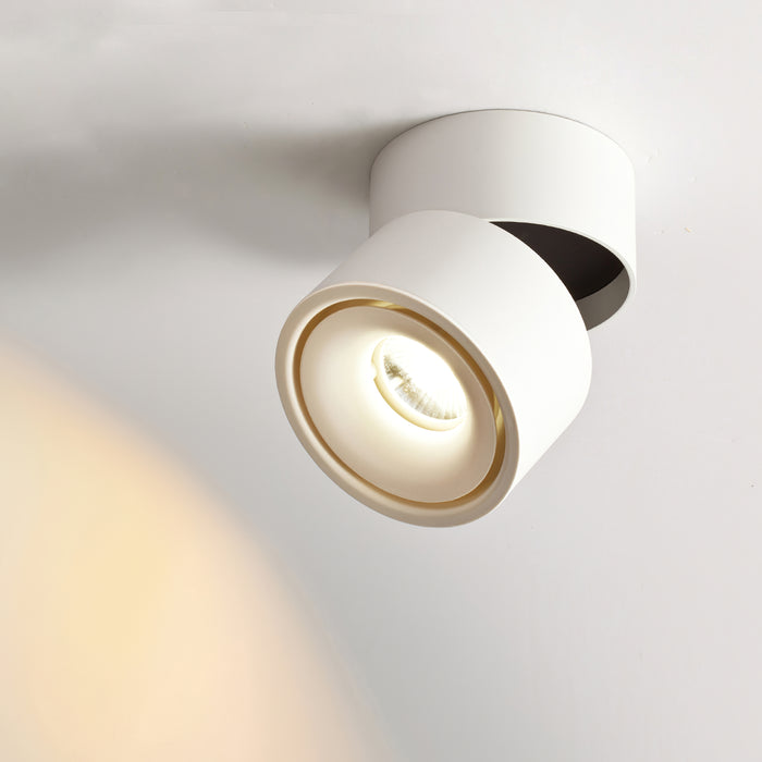 Boyce Rotatable LED Downlight