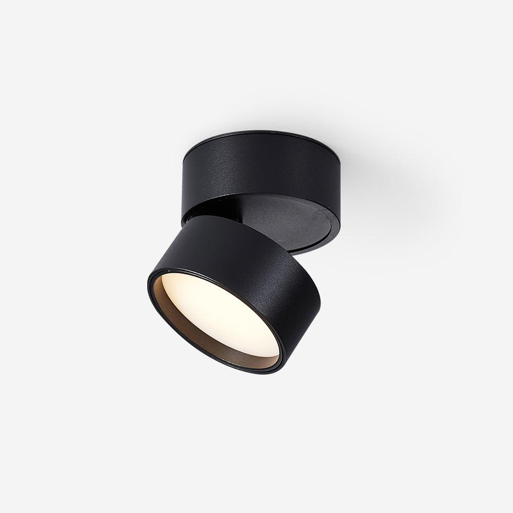 Jargas Flush Mount Lighting