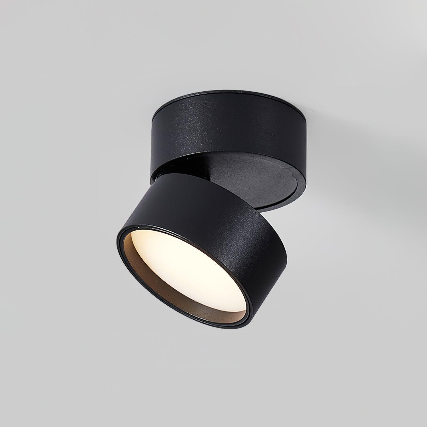 Jargas Flush Mount Lighting