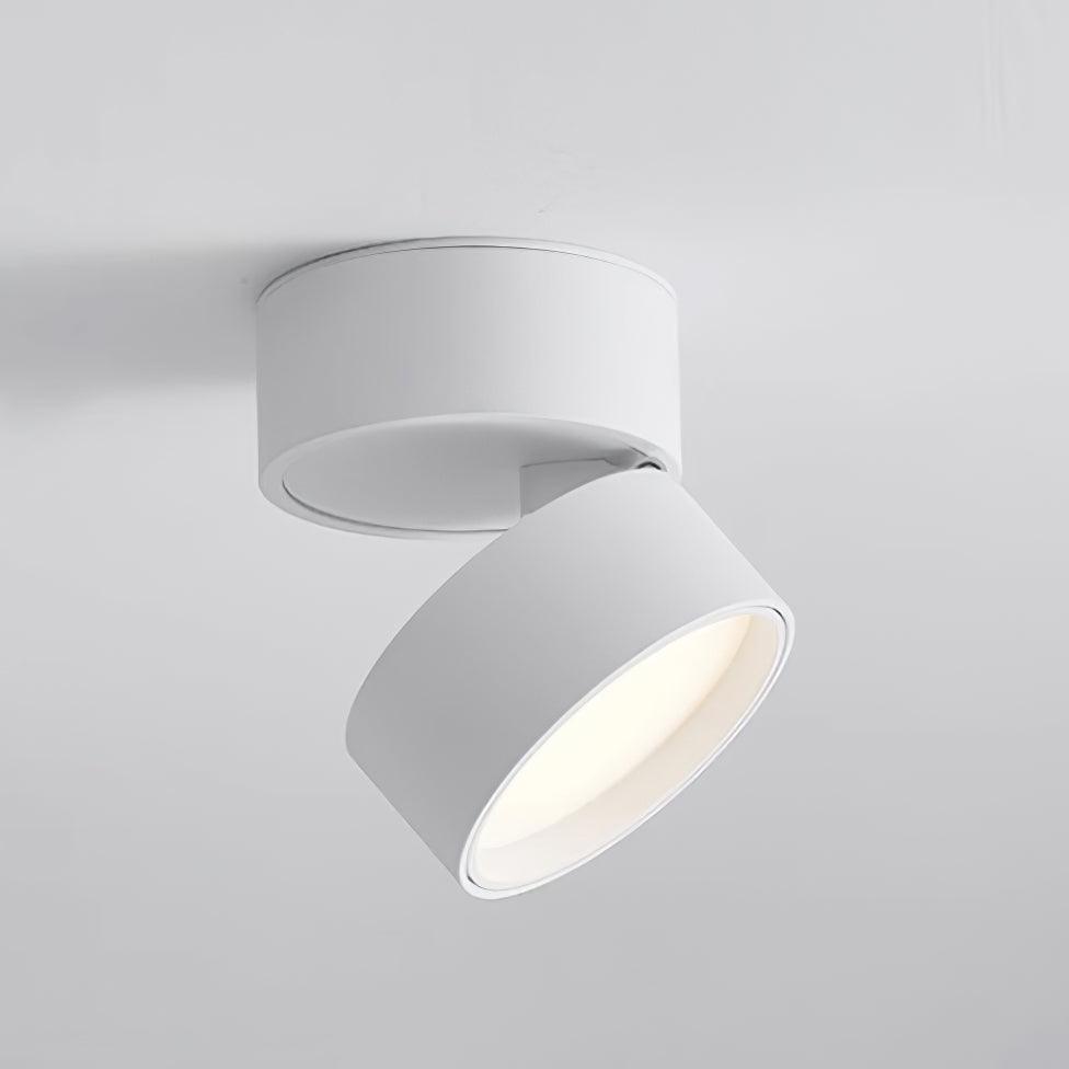 Jargas Flush Mount Lighting