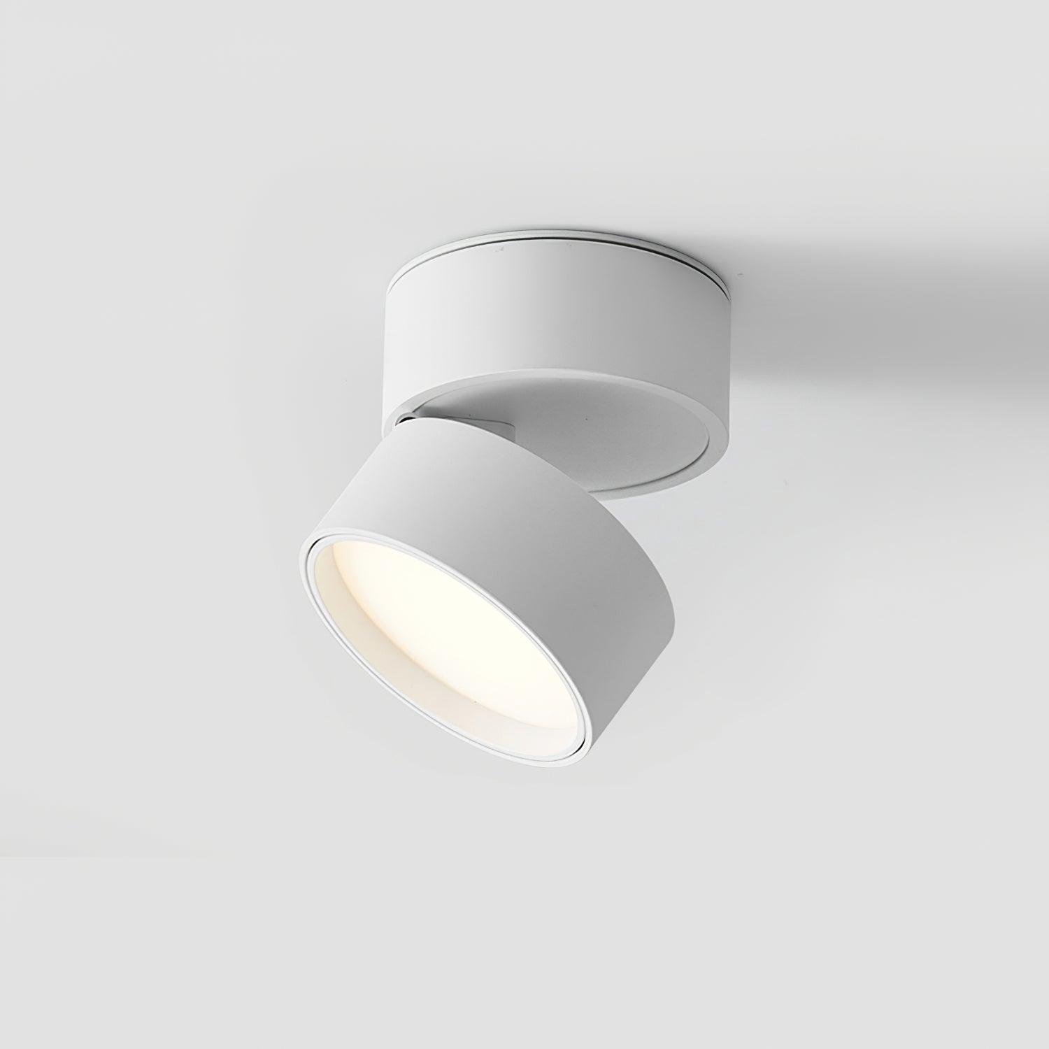 Jargas Flush Mount Lighting