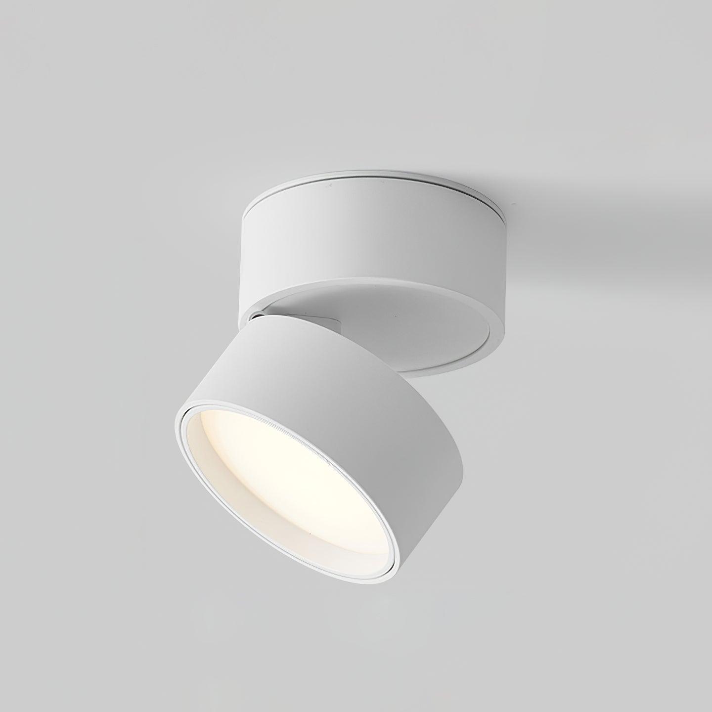 Jargas Flush Mount Lighting