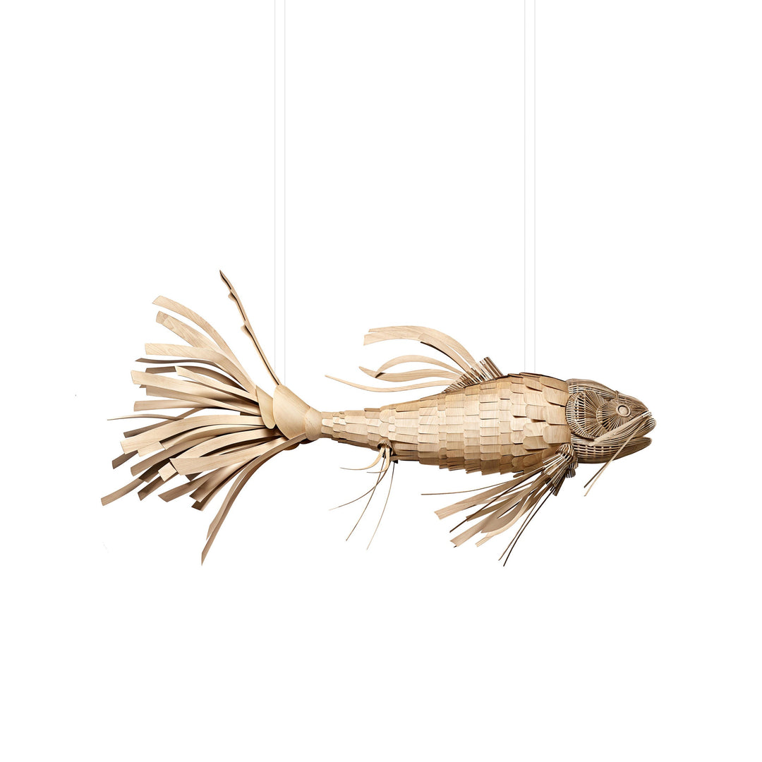 Koi Suspension Lamp