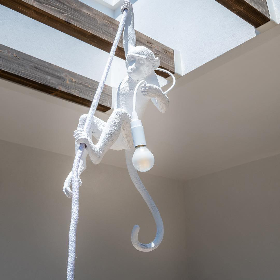 Langlo Monkey Pendant Lighting