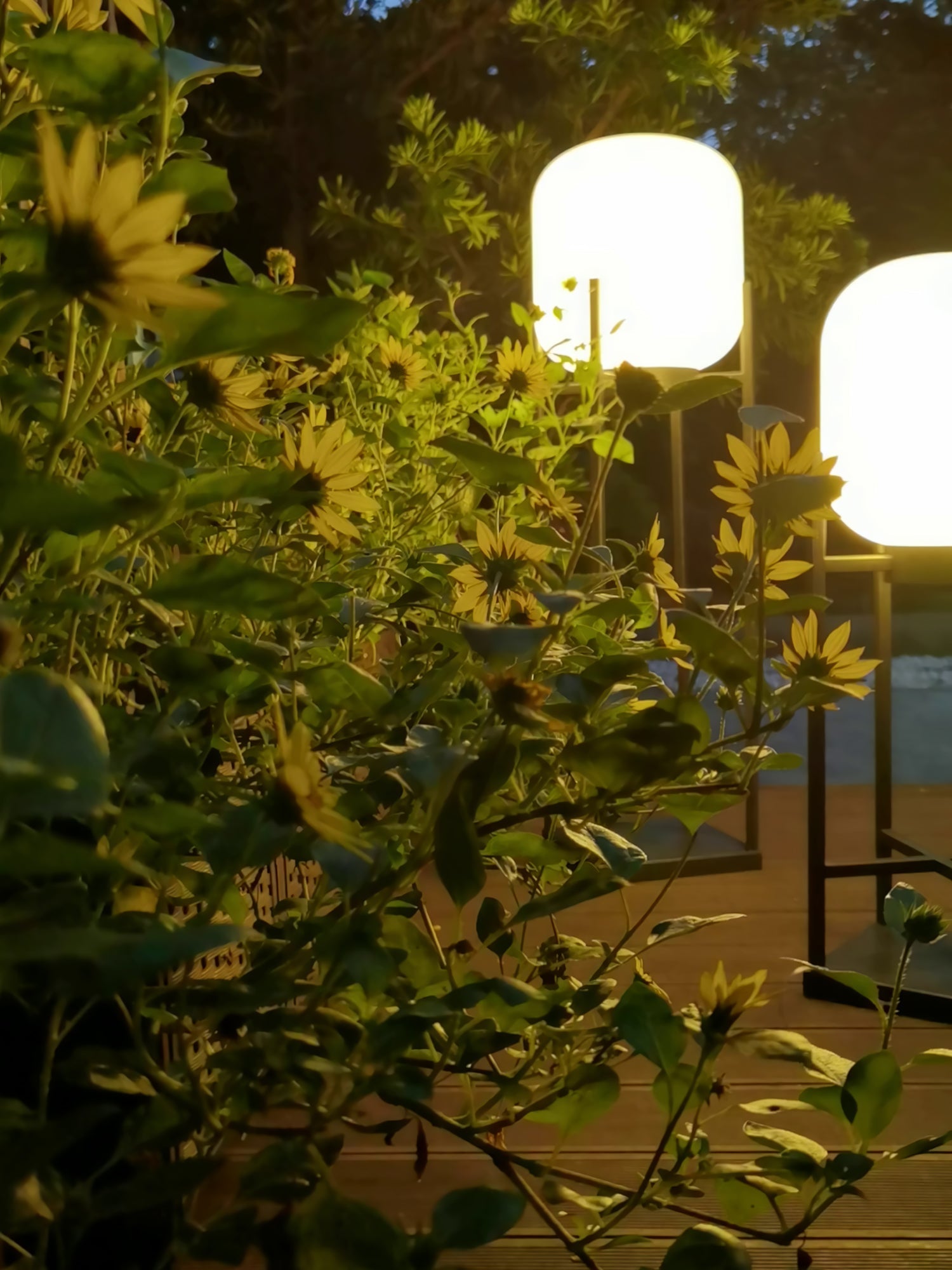 Lyn Outdoor Lighting
