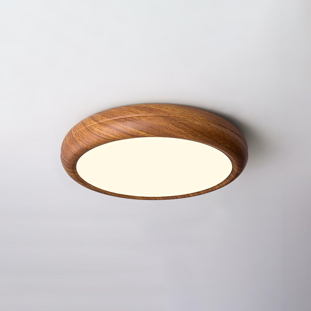 Ozell Flush Mount Lighting