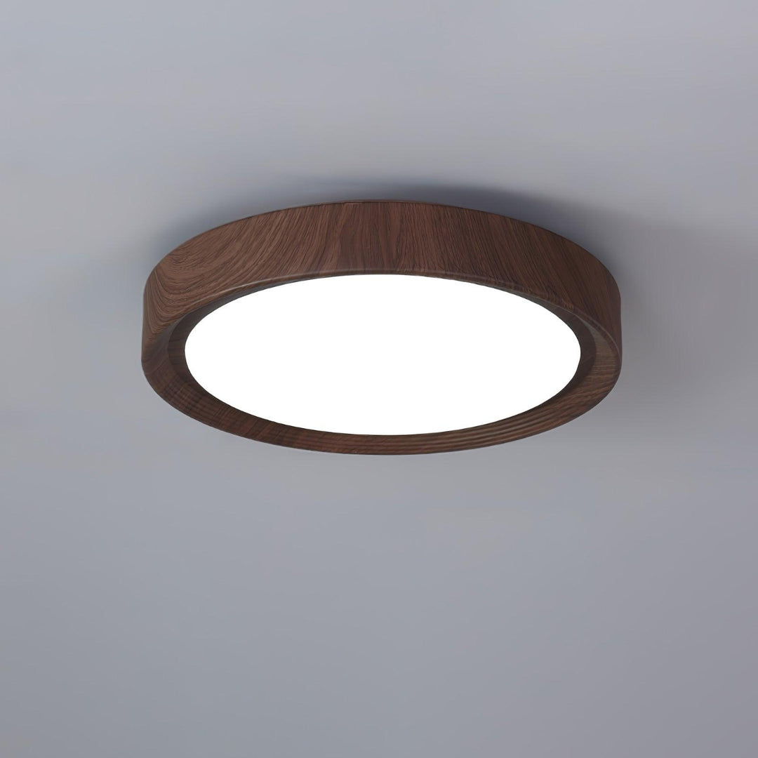 Ozell Flush Mount Lighting