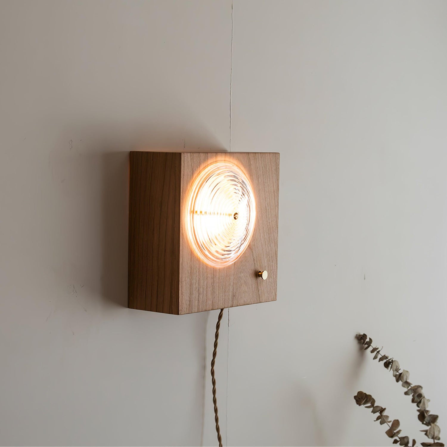 Dionna Camera Wall Sconce