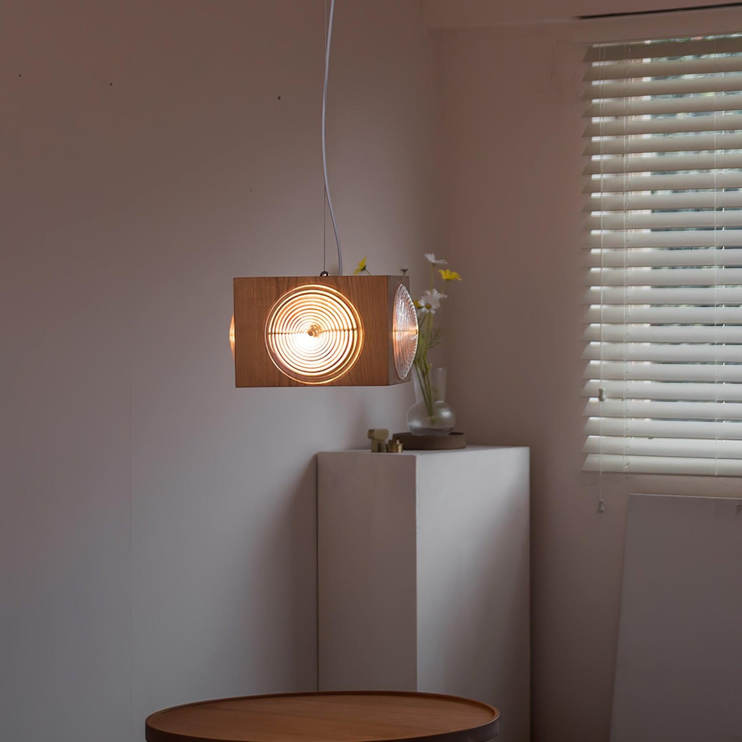 Dionna Camera Pendant Lighting