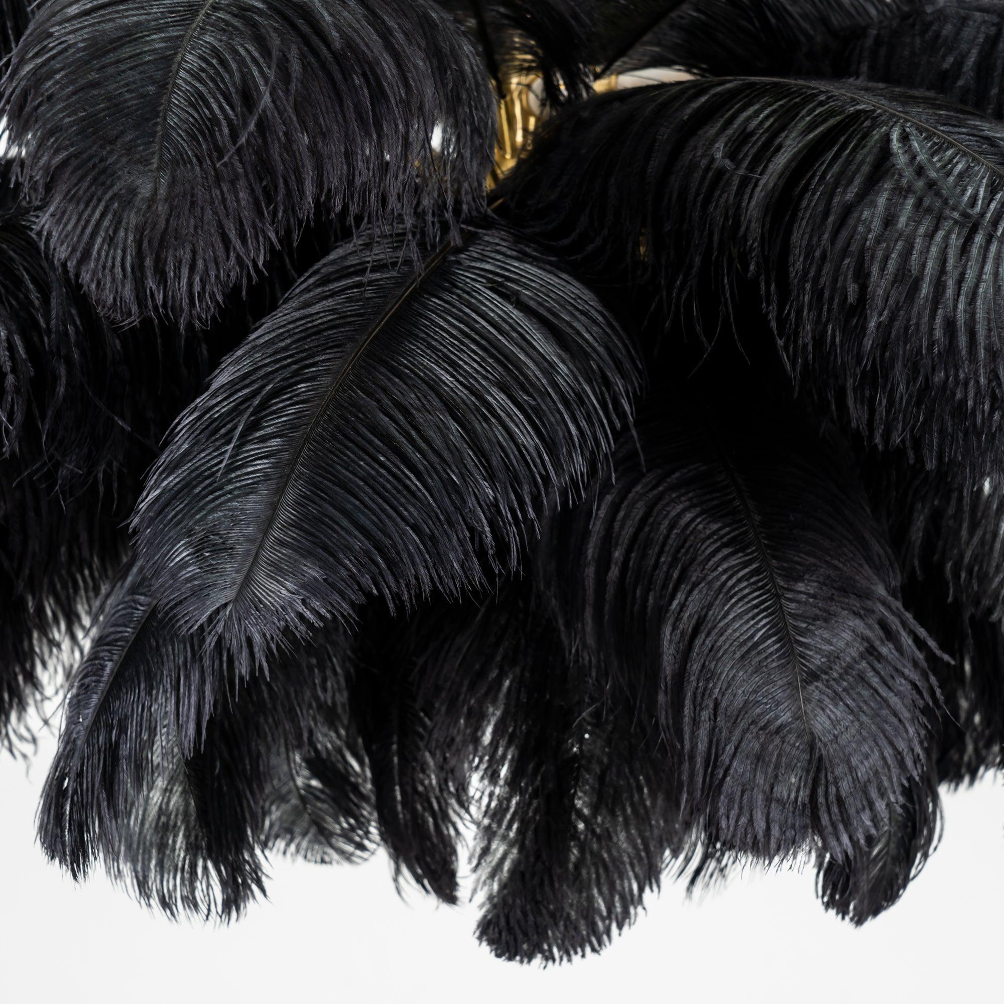 Fero Ostrich Feather Chandelier